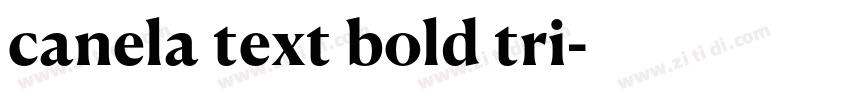 canela text bold tri字体转换